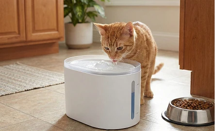 Bebedouro Automático para Gato